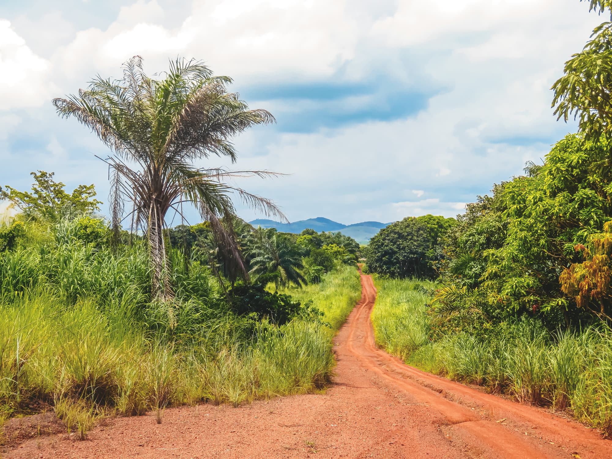 a walking path winds through the country side in congo, east africa.