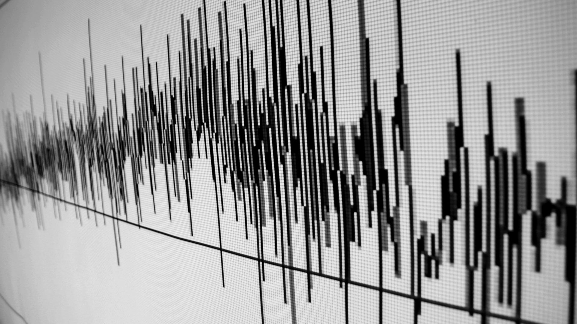 black and white image of an audio waveform